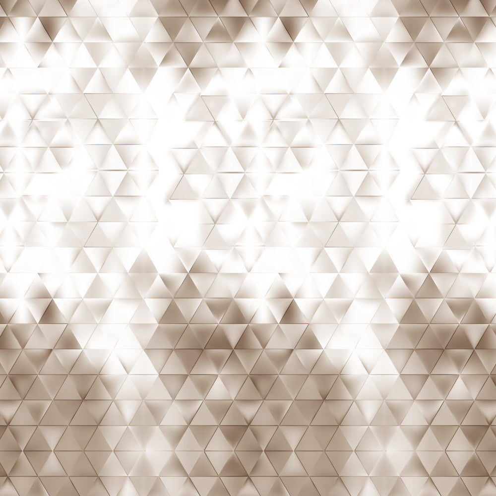 Elegent Geometric Print Matt Finish Room Darkening Curtain Set of 2 MTDS331A