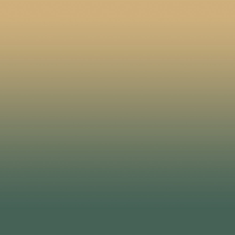 Gradient Garden Floral & Ombre Print Combination Room Darkening Curtains Set Of 4 Door Curtain - (357AOMBRE24)