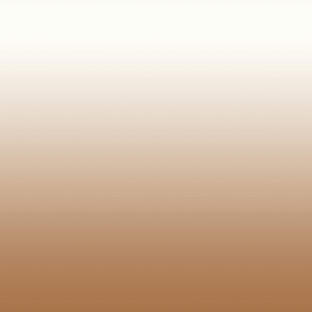 Elegant Ombre Print Room Darkening Curtain Set of 2, OMBRE22