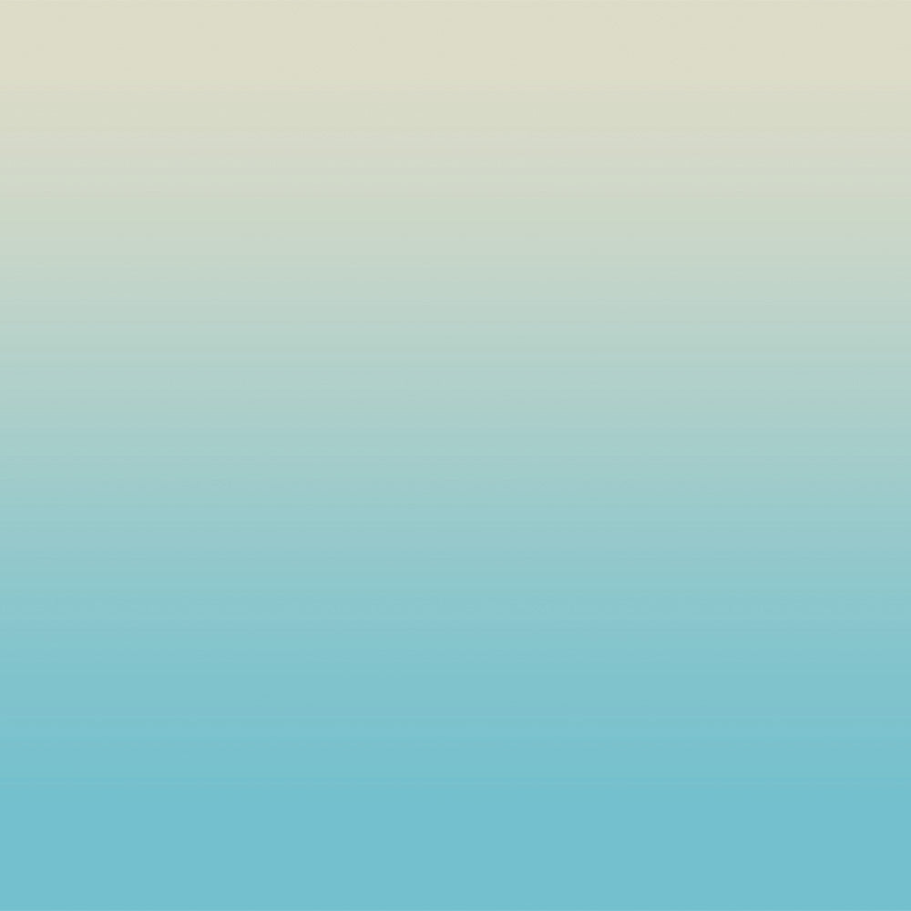 Elegant Ombre Print Room Darkening Curtain Set of 2, OMBRE26