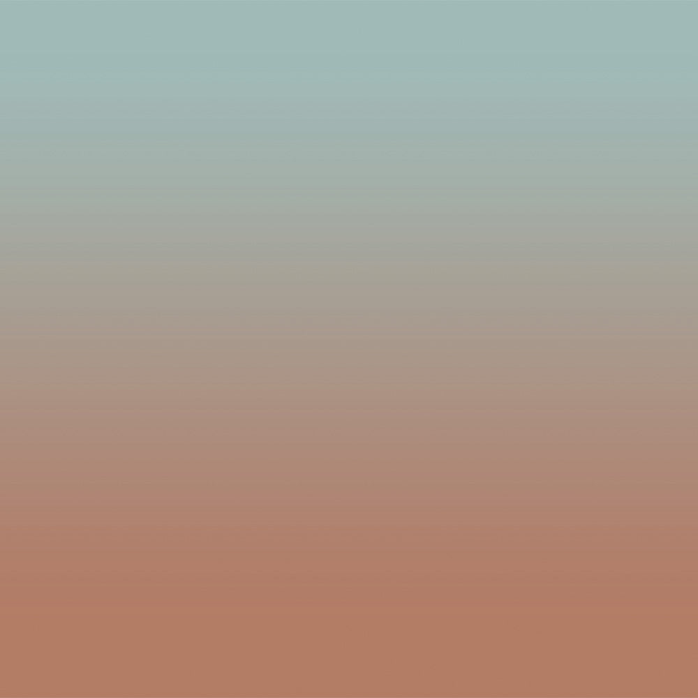 Elegant Ombre Print Room Darkening Curtain Set of 2, OMBRE27